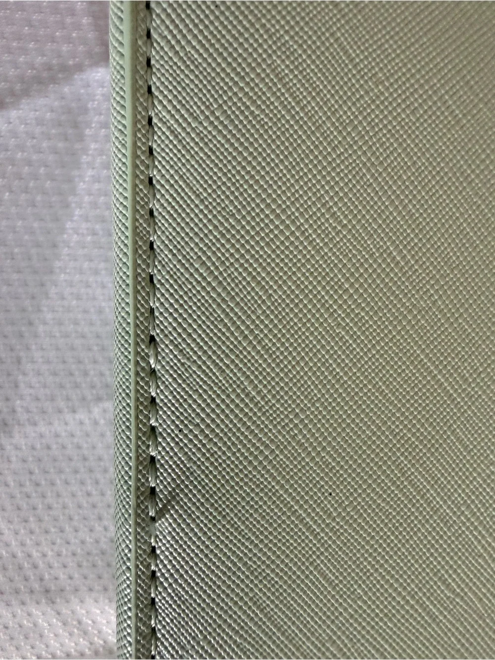 Valentino Orlandi V-3003 Mint Green Studded Camera Crossbody Bag